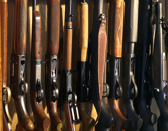 Gun Case